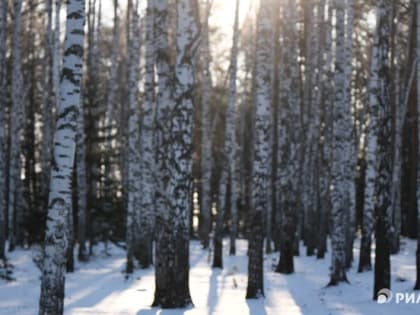 Снегопад и небольшой минус ожидают томичей во вторник