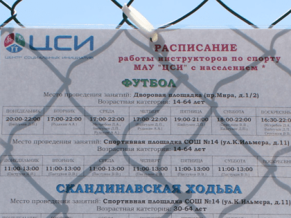 Внебюджетная деятельность спортивных школ
