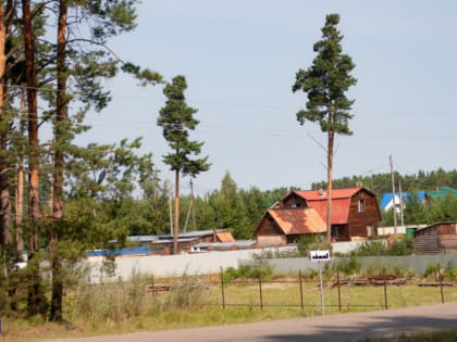 В Шегарском районе планируют разведать месторождение торфа