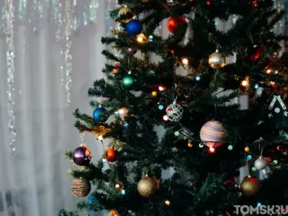 Юных пациентов Томской областной больницы поздравили с Новым годом