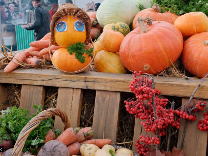 Томские аграрии продолжают наращивать производство молочной, мясной и сельскохозяйственной продукции