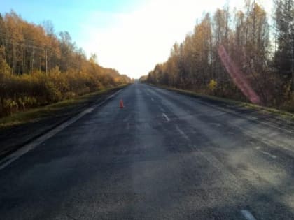 Иномарка сбила лося в Томском районе, пострадали два человека
