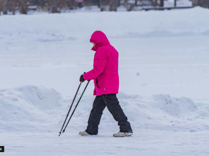 Новые законы в России: что изменится с декабря 2024 года