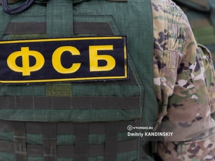 СМИ: 18-летний студент из Томска обвиняется в госизмене из-за хакерских атак