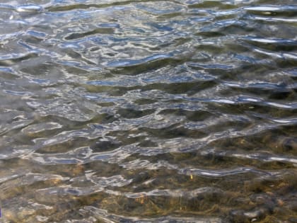 Работы по очистке озера Беленькое под Томском выполнены на 50%