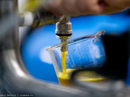 Экспорт рапсового масла из Томской области увеличился в 2023г