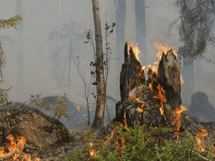 Самый высокий класс пожарной опасности сохраняется в Томской области