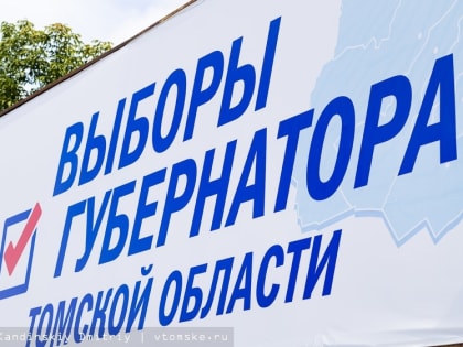 Наблюдатели: подсчет голосов в Томской области прошел без грубых нарушений