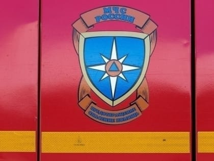 Пилорама загорелась у томской деревни Губино