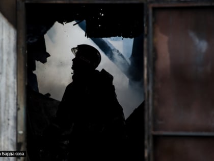 Нежилое здание и жилой дом пострадали от пожара в Колпашеве: погибли две свиньи и десять кур