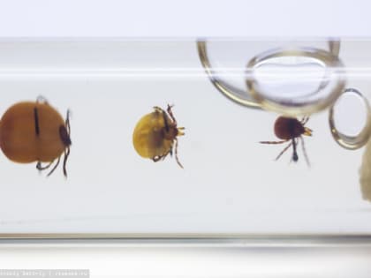 Прокуратура Советского района г. Томска добилась возмещения мужчине денежных средств, затраченных на самостоятельное приобретение лекарственного препарата