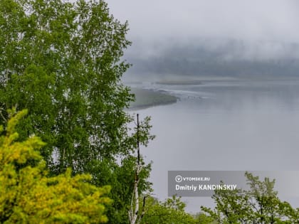 Тело человека нашли в реке Томи. СК опроверг информацию, что труп без головы