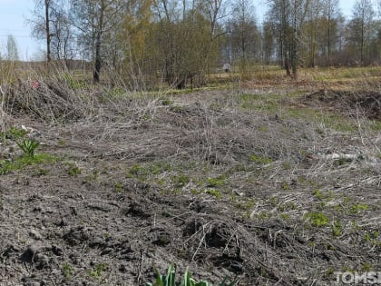 Контроль за разведением костров: в Томске патрулируют дворы и прилегающие леса
