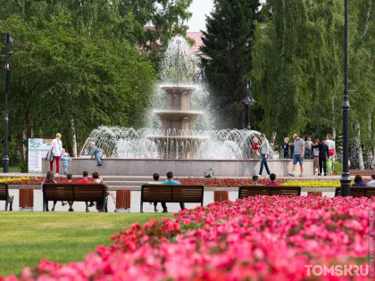 «Расширять ассортимент многолетних растений»: томский эксперт рассказала, какие клумбы должны быть в городе