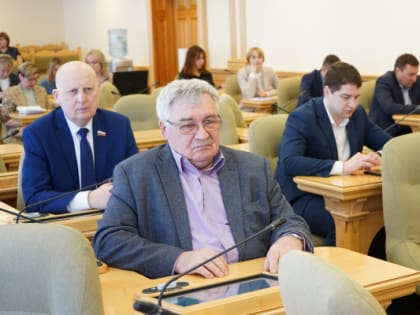 Бюджет на медицину требует доработки