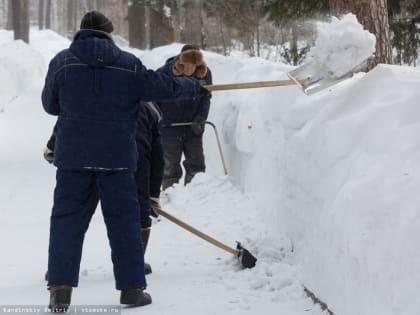 До 36 тыс руб в месяц получали томичи на общественных работах в 2022г