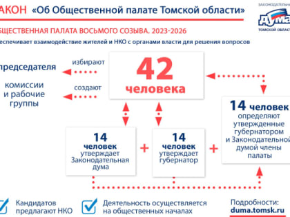 Депутаты на собрании думы изберут треть состава Общественной палаты