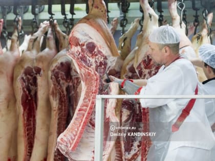 Экспорт сельхозпродукции Томской области вырос на 20%. Основные покупатели — страны Азии