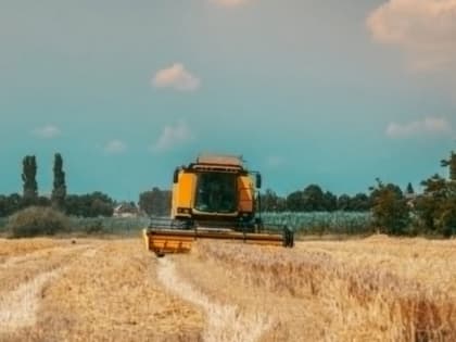 В Томской области экспорт аграрной продукции вырос в 1,5 раза