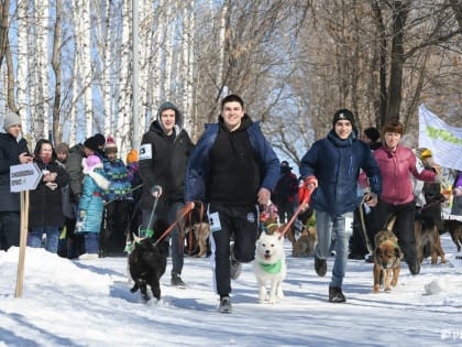 Беги, песик, беги: как в Томске прошел "Мохнатый кросс"