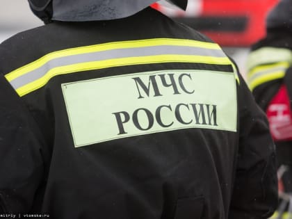 Жилой дом загорелся в селе в Асиновском районе