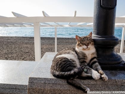 Стартовала бизнес-миссия томских компаний в Малайзию