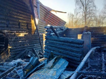 Тела трех погибших нашли в Асино Томской области при тушении пожара