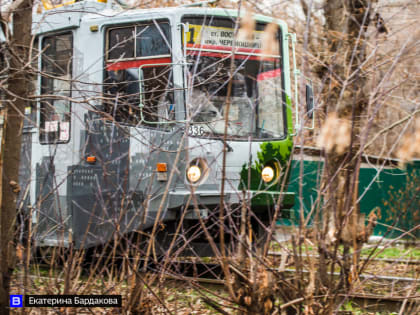 Небольшие дожди и температура до 16°С ожидаются в Томске