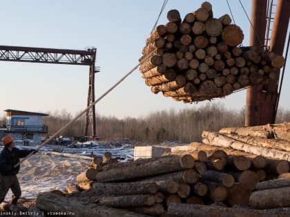 Власти: предприятия ЛПК Томской области находятся в тяжелом положении из-за проблем с логистикой
