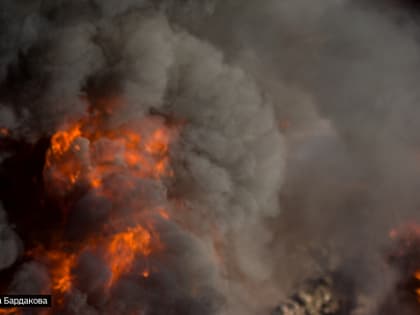 Два лесных пожара ликвидированы в Первомайском лесничестве