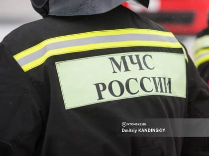 Женщина и ребенок пострадали при пожаре в многоквартирнике Томска