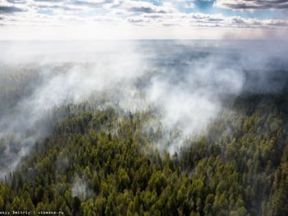 «Борьба продолжается»: что происходит с лесными пожарами в Томской области