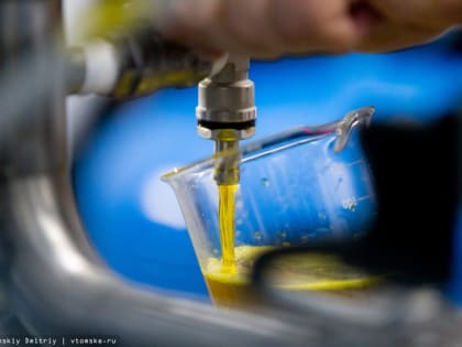 Маслодельня и проект-перезагрузка для женщин: какой бизнес открывают томские безработные на деньги от государства