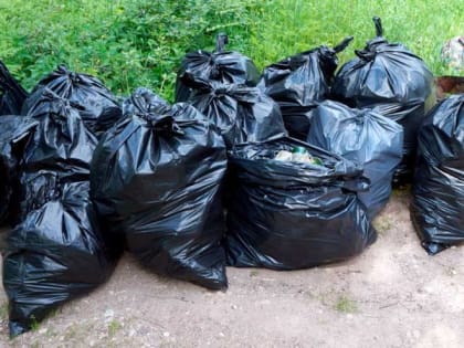 Очередной чемпионат по спортивному сбору мусора пройдет в Томской области