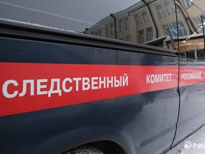 СК проводит проверку по факту нападения бродячих собак на томича