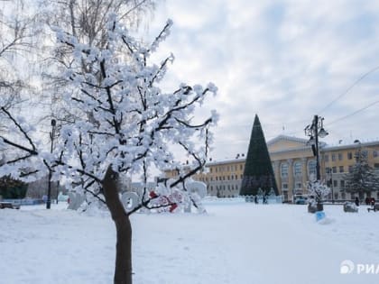 Небольшой снегопад ожидается в Томске в пятницу