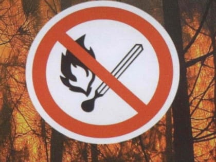 На территории Томской области установлен особый противопожарный режим