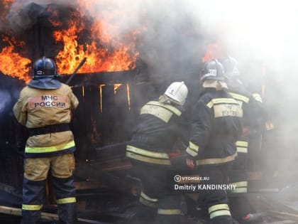 Два человека попали в больницу из-за пожара в селе Томской области. Погибли 25 кур