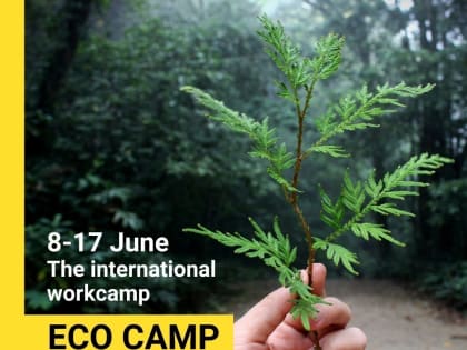 Международный волонтерский эко-лагерь #ECOCAMPTSU