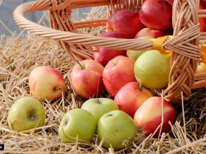 Томский специалист рассказала, как здоровый образ жизни может стать профилактикой онкологических заболеваний