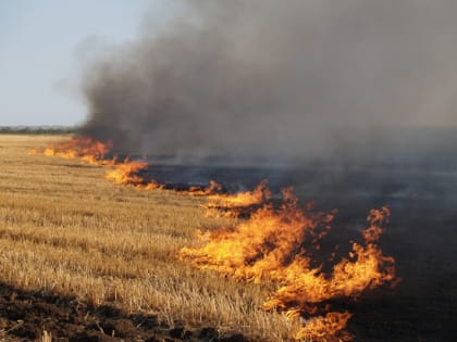 В Шегарском районе служащим Управления, при проведении рейдовых осмотров земельных участков, обнаружено и ликвидировано  возгорание сухой травы