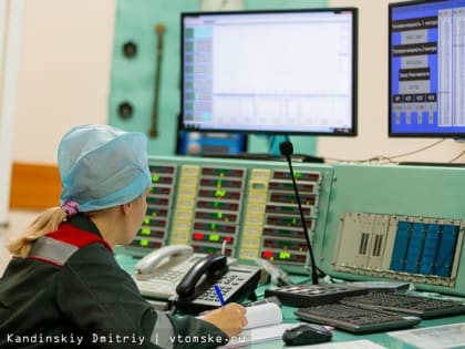 Терапию неоперабельного рака провели собаке на реакторе в Томске