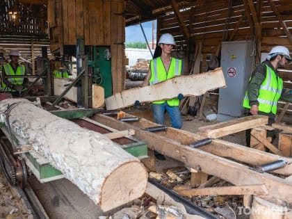 Объемы деревообработки в Томской области за год упали на 20%