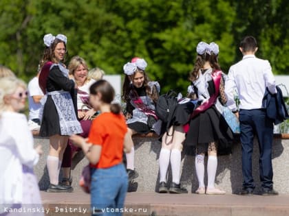 Искать легко и системно. ЛизаАлерт проведёт новый семинар доя северян