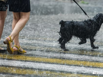 Сильный ветер и дождь "разбавят" жару в пятницу в Томске