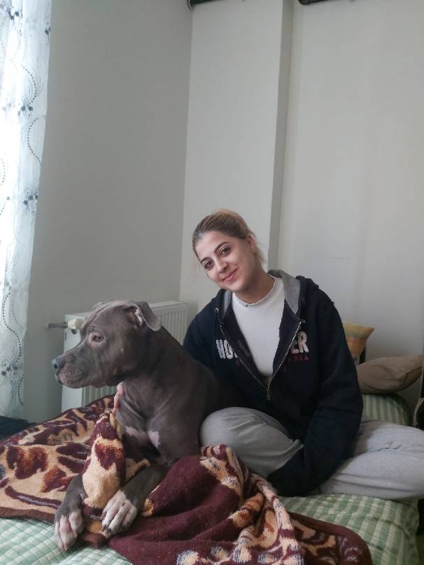 sitter photo