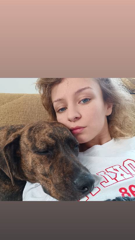 sitter photo