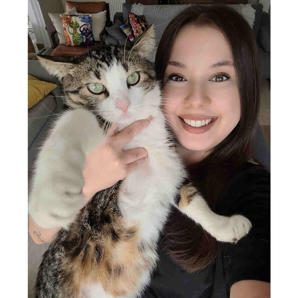 sitter photo