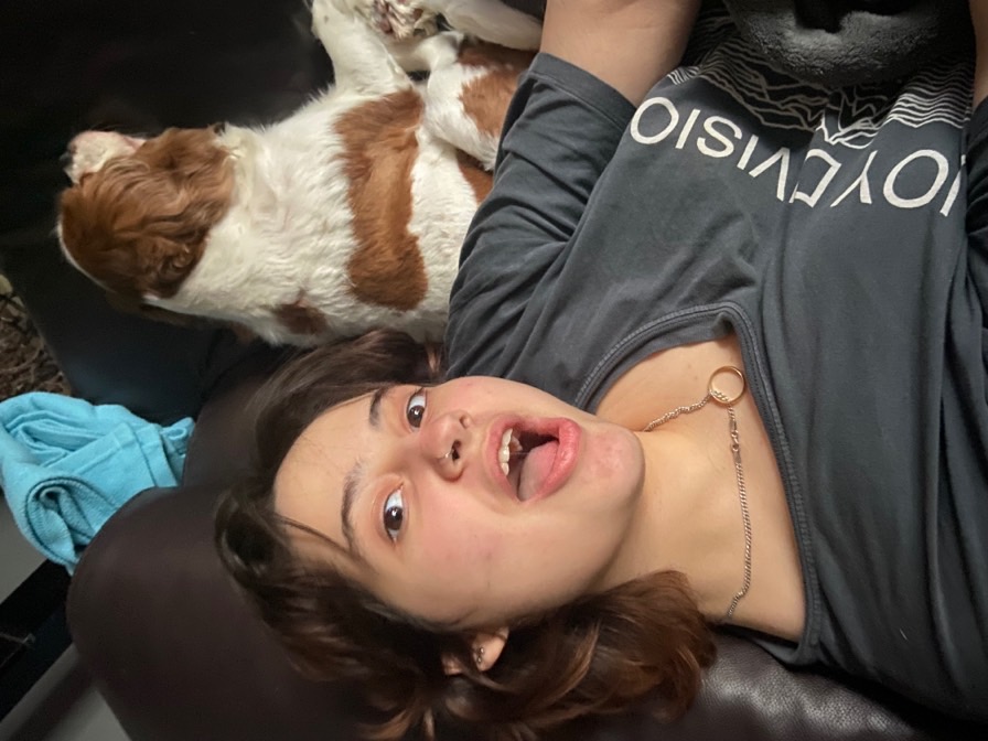 sitter photo