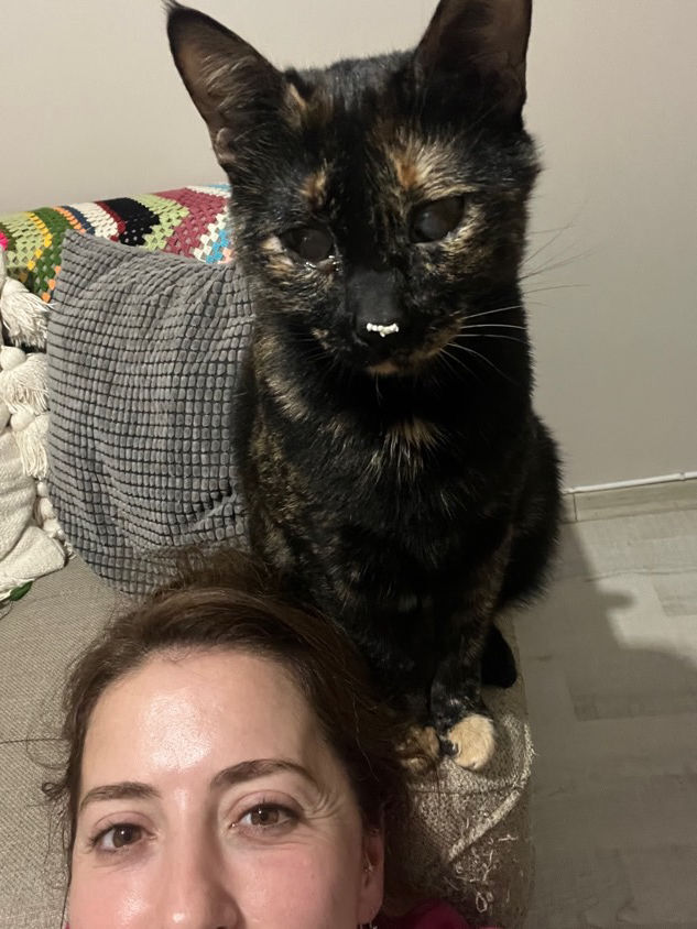 sitter photo